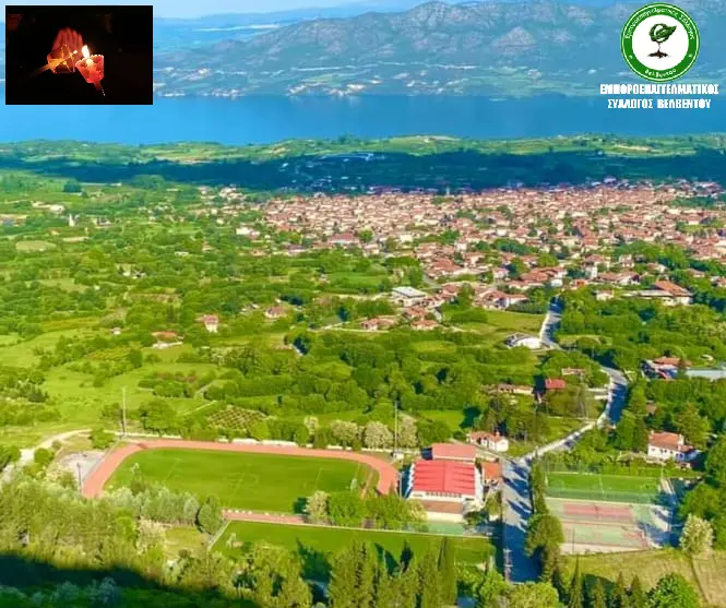 anastasi velvento 2024