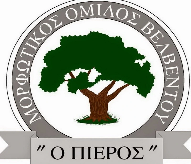 morfotikosvelventou