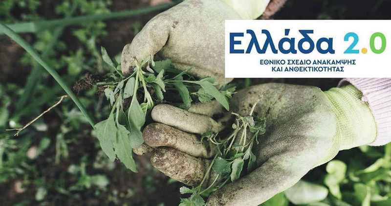prasini anakampsi agrotes aitiseis